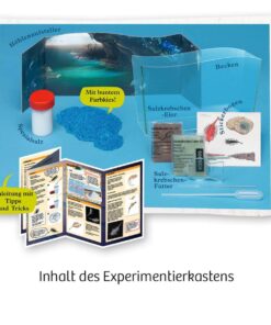 KOSMOS Fun Science Wuselnde Salzkrebse2