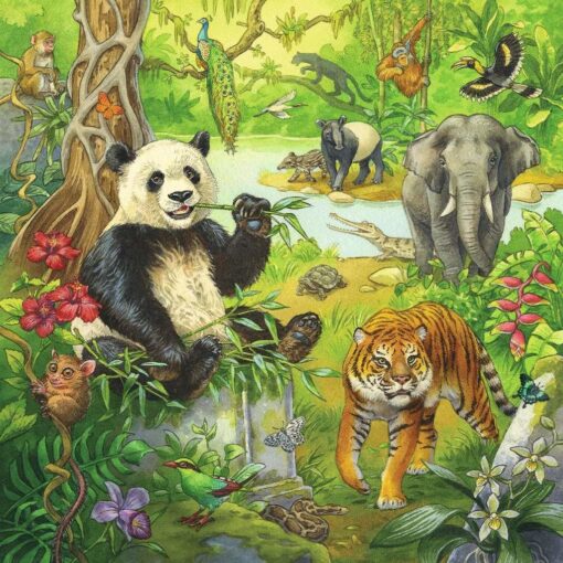 Ravensburger Kinderpuzzle 05180 - Im Urwald - 3x49 Teile2