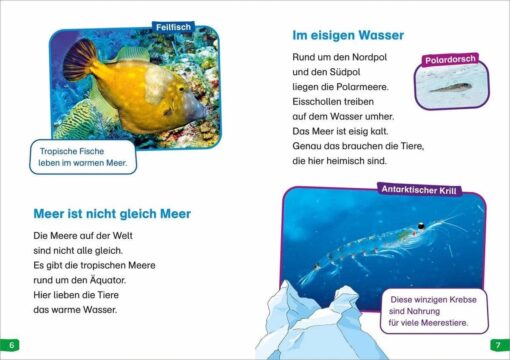 Tessloff WAS IST WAS Erstes Lesen easy! Band 2. Tiere im Meer1