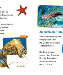 Tessloff WAS IST WAS Erstes Lesen easy! Band 2. Tiere im Meer2