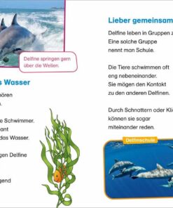 Tessloff WAS IST WAS Erstes Lesen easy! Band 2. Tiere im Meer3