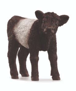 13969_galloway-calf_mainpicture_300dpi_schleich_gmbh.jpg