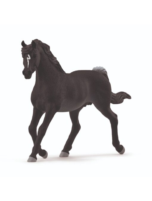 13981_arab-stallion_mainpicture_300dpi_schleich_gmbh.jpg