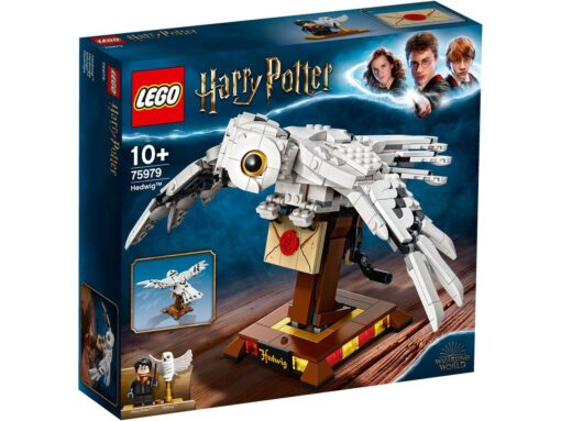 75979.jpg