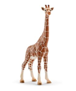 Giraffenkuh