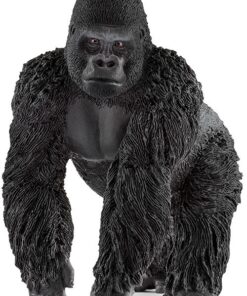 Gorilla Männchen