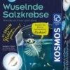 KOSMOS Fun Science Wuselnde Salzkrebse