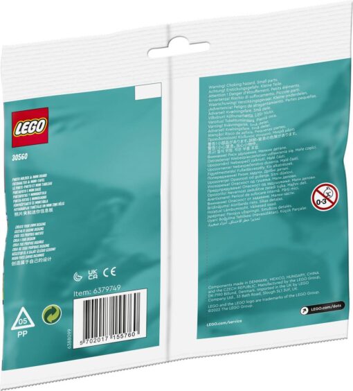 LEGO® Recruitment Bags 30560 Ananas Fotohalter & Mini-Tafel1