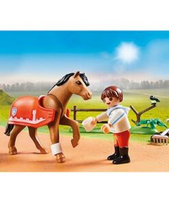 PLAYMOBIL-70516-Sammelpony-Connemara2