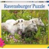 Puzzle Pferde auf der Blumenwiese, 300 Teile.jpeg