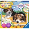 Ravensburger Malen nach Zahlen Jack Russel Welpen.jpg