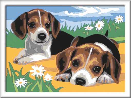 Ravensburger Malen nach Zahlen Jack Russel Welpen1.jpg