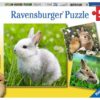 Ravensburger Puzzle Niedliche Häschen 3x49 Teile.jpeg