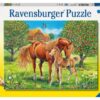 Ravensburger Puzzle Pferdeglück, 100 XXL Teile.jpeg