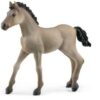 Schleich Horse Club Criollo Definitivo Fohlen