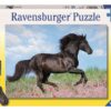 Schwarzer Hengst, 200 Teile Puzzle.jpeg