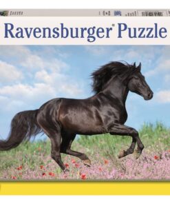 Schwarzer Hengst, 200 Teile Puzzle.jpeg