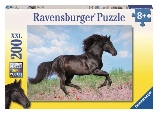 Schwarzer Hengst, 200 Teile Puzzle.jpeg