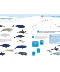 Tessloff-Heft-WAS-IST-WAS-Junior-Wale-und-Delfine1