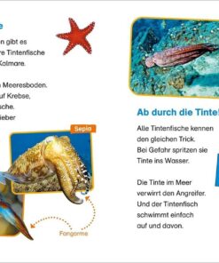 Tessloff WAS IST WAS Erstes Lesen easy! Band 2. Tiere im Meer2