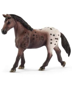 appaloosa-stute