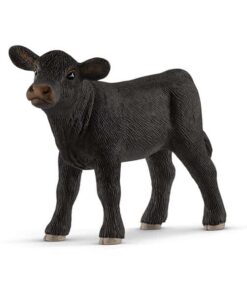 black-angus-kalb