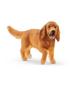 Cocker Spaniel