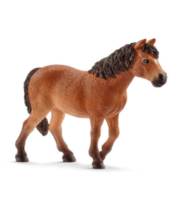 Dartmoor-Pony Stute.png