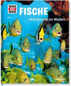 Fische Wunderwelt im Wasser