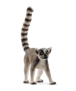 katta-schleich