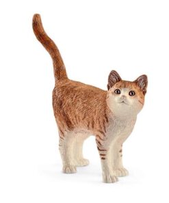 katze-schleich