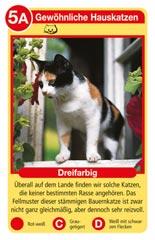 Katzen Tier-Quartett1.jpeg