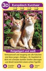 Katzen Tier-Quartett2.jpeg