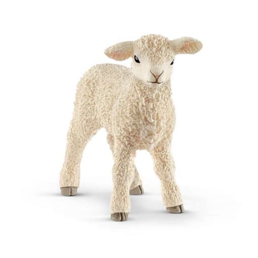 lamm-schleich