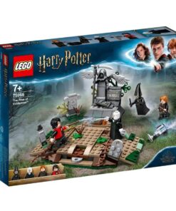 LEGO® Harry Potter™ 75965 - Der Aufstieg von Voldemort™.jpeg