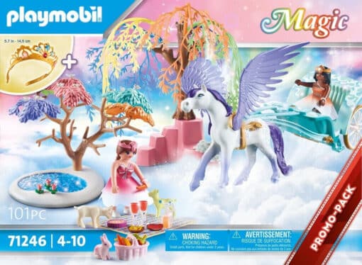 magic-magic-picknick-mit-pegasuskutsche-71246