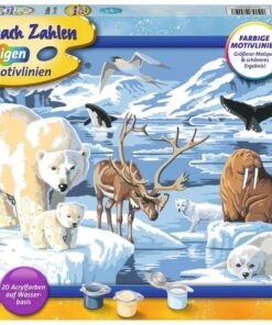 Malen nach Zahlen Tiere der Arktis.jpg