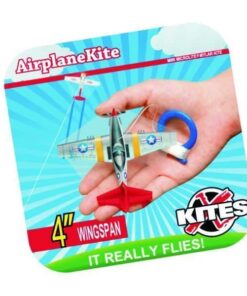 Mini Mylar kite.jpg