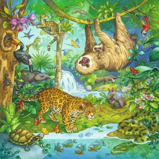 Ravensburger Kinderpuzzle 05180 - Im Urwald - 3x49 Teile1