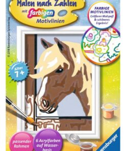 Ravensburger Malen nach Zahlen Daisy.jpeg