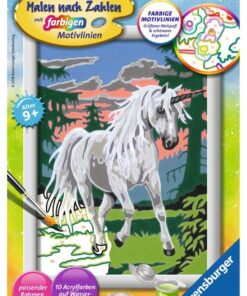 Ravensburger Malen nach Zahlen Einhorn im Zauberwald.jpeg