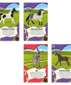 Schleich Horse Club Pferdefreunde2.jpg