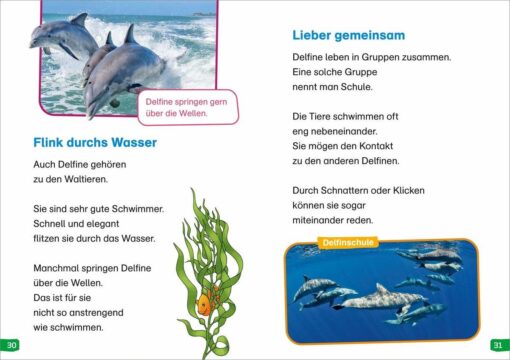 Tessloff WAS IST WAS Erstes Lesen easy! Band 2. Tiere im Meer3