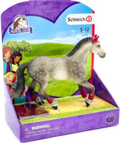 Trakehner Stute Reitturnier.jpeg