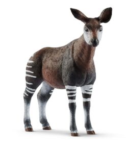 Wild LIfe Okapi