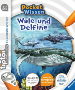 Wissen Wale und Delfine.jpeg