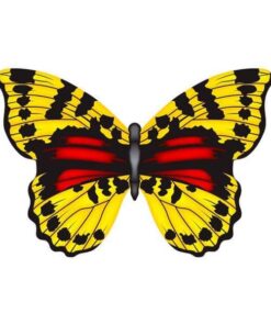 X-Kites-Mini-Mylar-Kites-Schmetterling---Einleiner-Drachen-Kinderdrachen-1-Leiner-rtf-flugfertig-10-cm-x-10-cm-gelb-1223843139.jpg