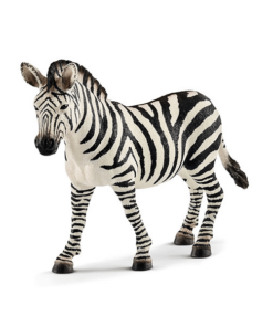 Zebra Stute